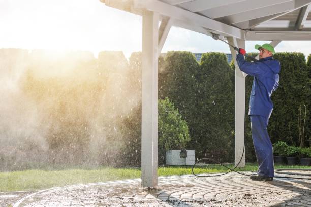 Best Pre-Holiday Cleaning  in Weston Mills, NY